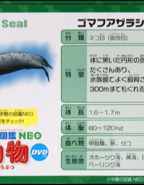 Load image into Gallery viewer, Takara Tomy ANIA Animal AS-22 Spotted Seal Floatable Ver. Mini Action Figure
