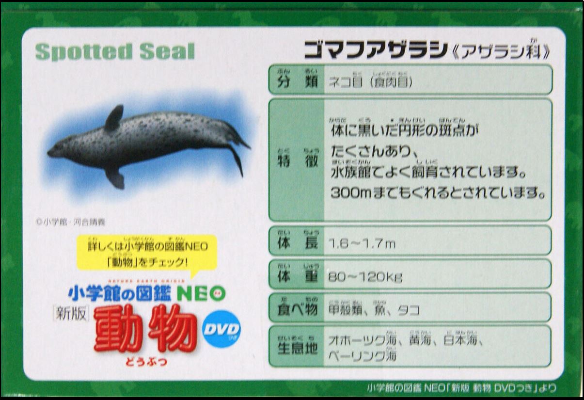Takara Tomy ANIA Animal AS-22 Spotted Seal Floatable Ver. Mini Action Figure