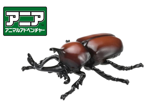 Load image into Gallery viewer, Takara Tomy ANIA animal Action Figure - AS-37 Beetle
